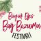 BuyukEfesBagBozumuFestivali_Logo2